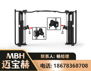 黔西南大飞鸟训练器