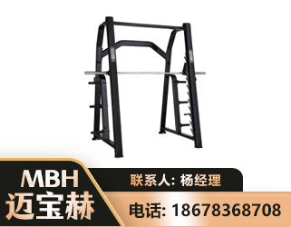 黔西南史密斯机